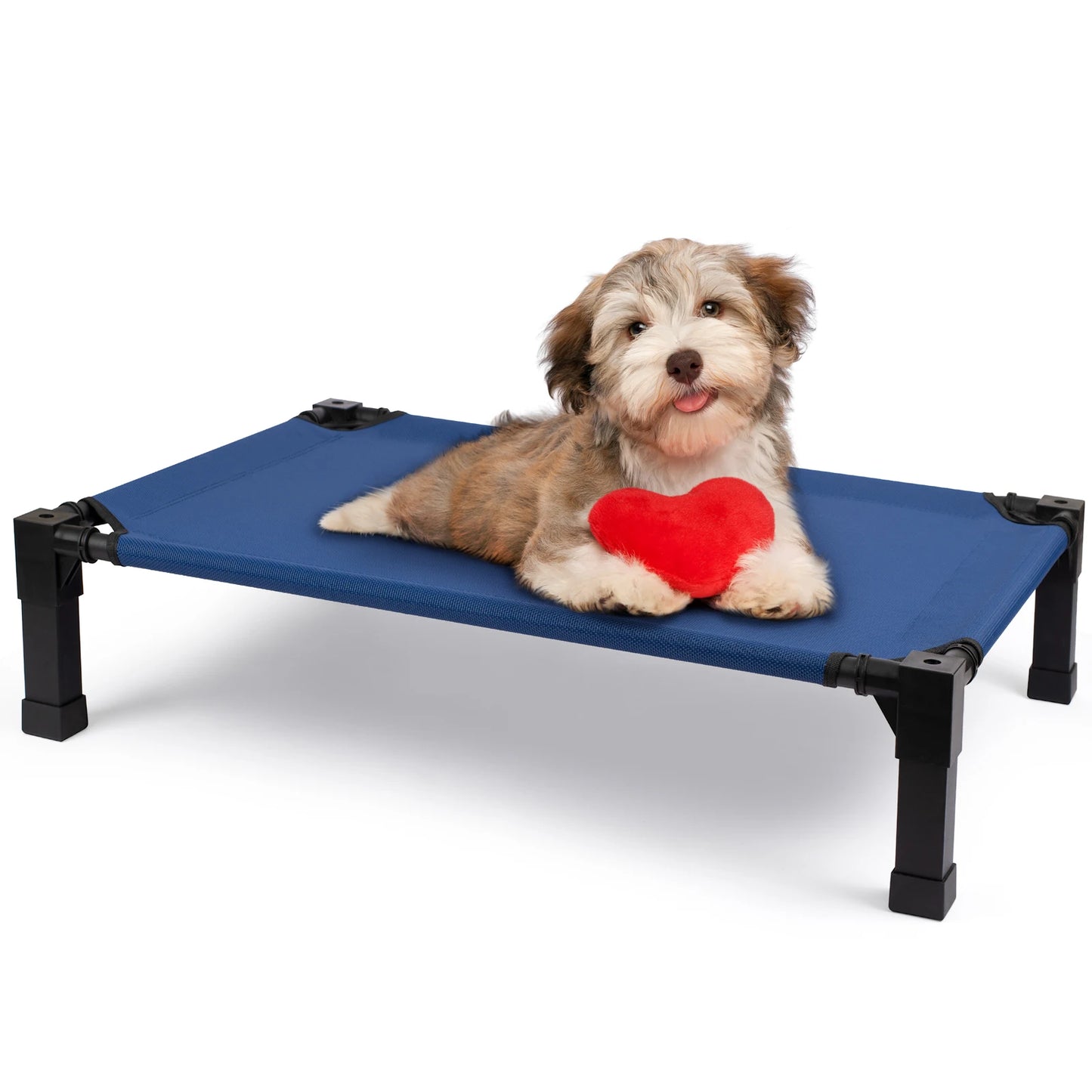 Elevated Dog Bed With Breathable Mesh And Metal Frame