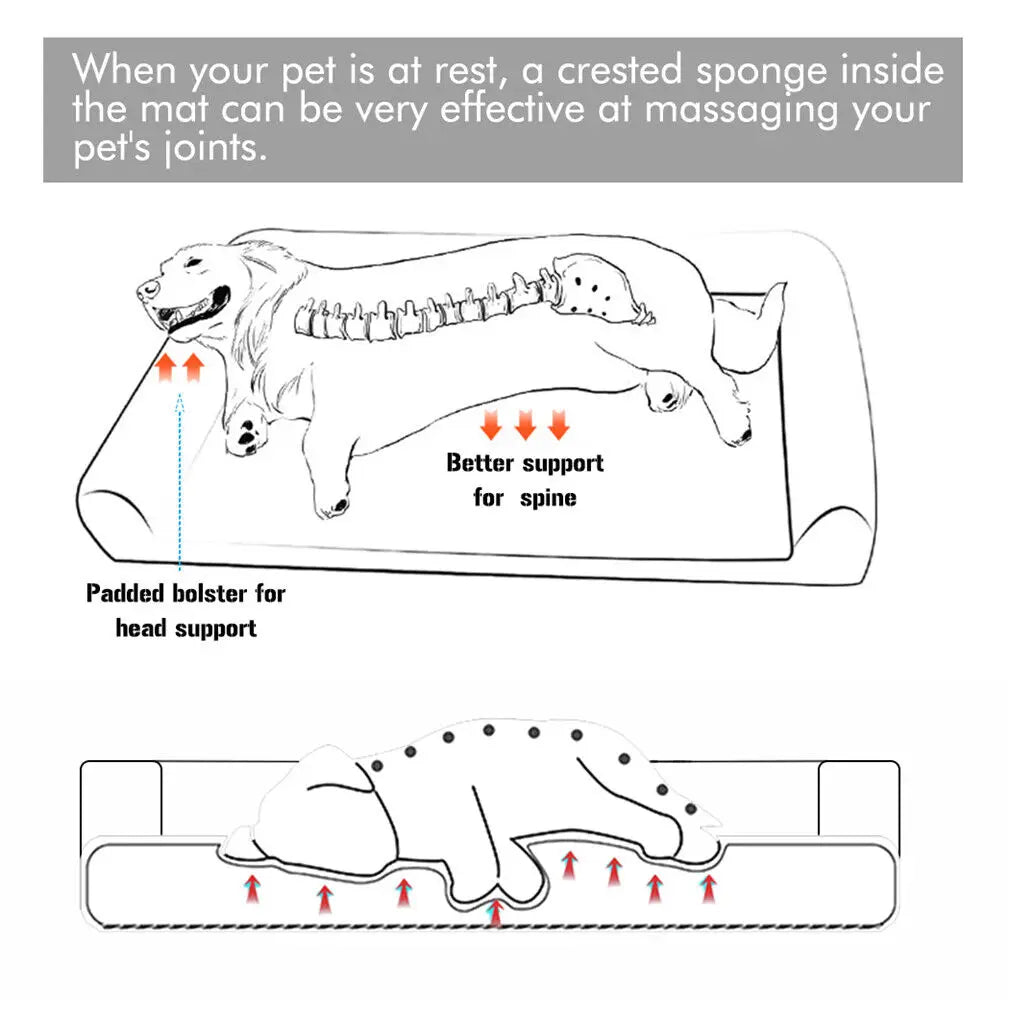 BINGOPAW Orthopedic Dog Bed With Removable Washable Cover Soft Foam