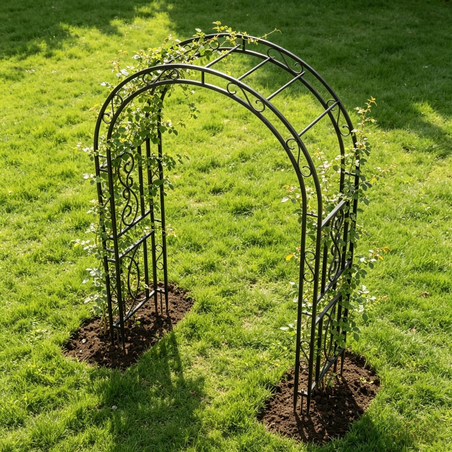Metal Garden Arch For Climbing Plants Wedding Ceremonies