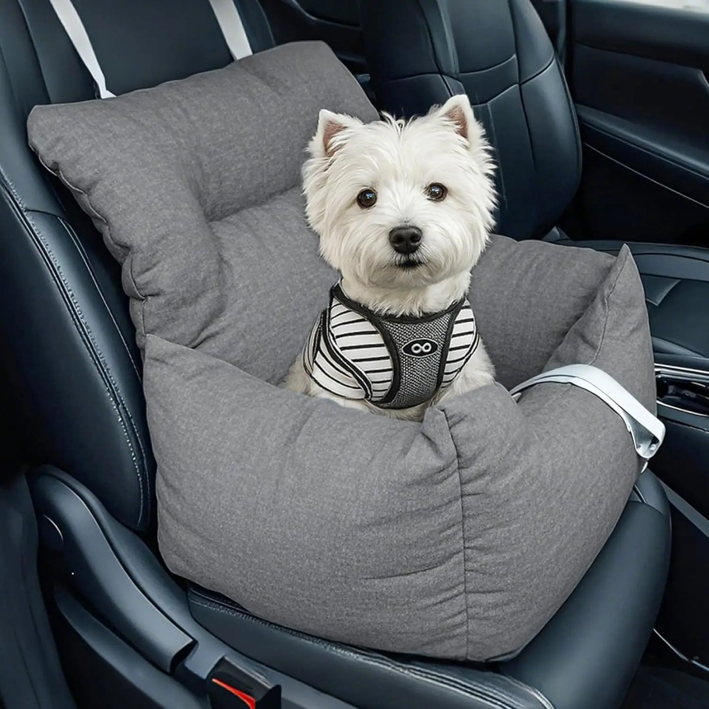 HiMISS Portable Dog Booster Car Seat Bed For Small Dogs With Tether Cushion