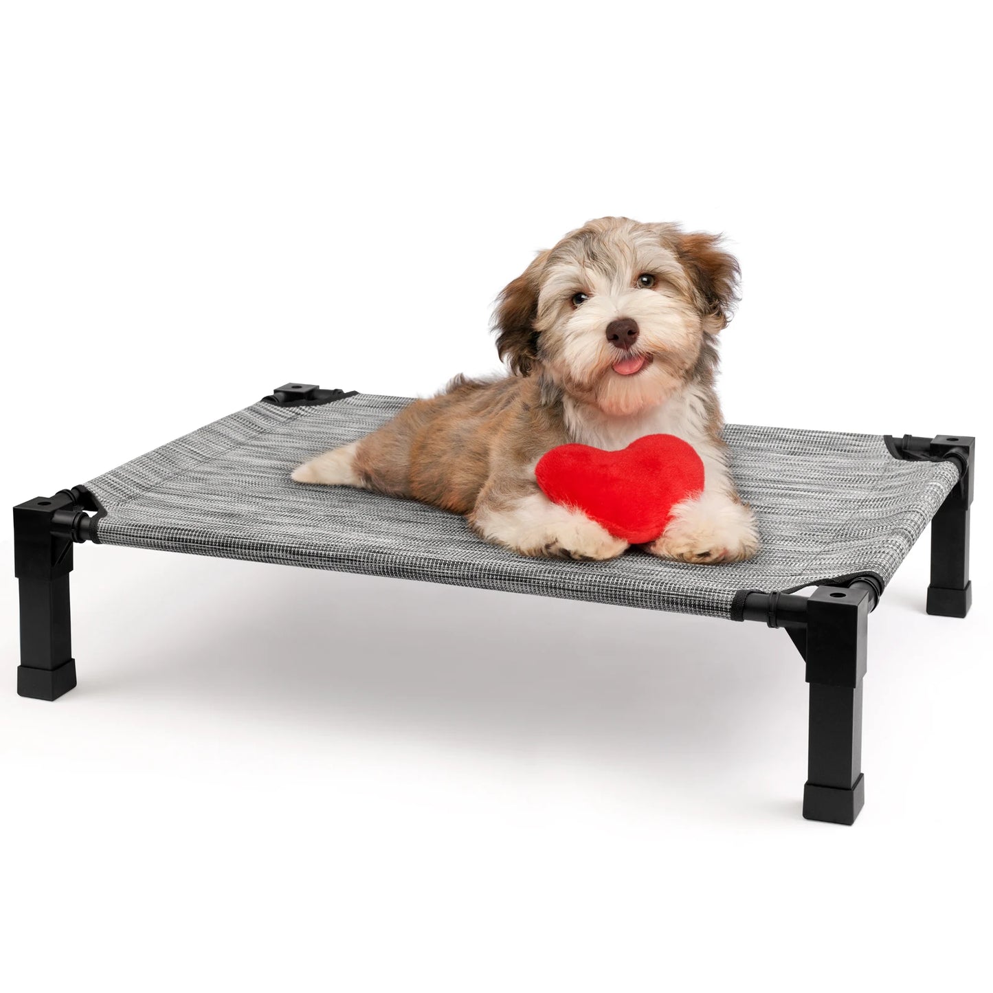 Elevated Dog Bed With Breathable Mesh And Metal Frame