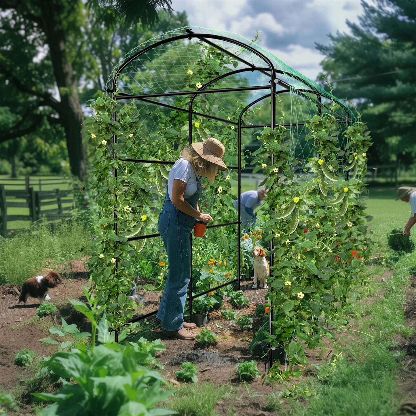 U Shaped Garden Cucumber Trellis With Nylon Netting And Spikes