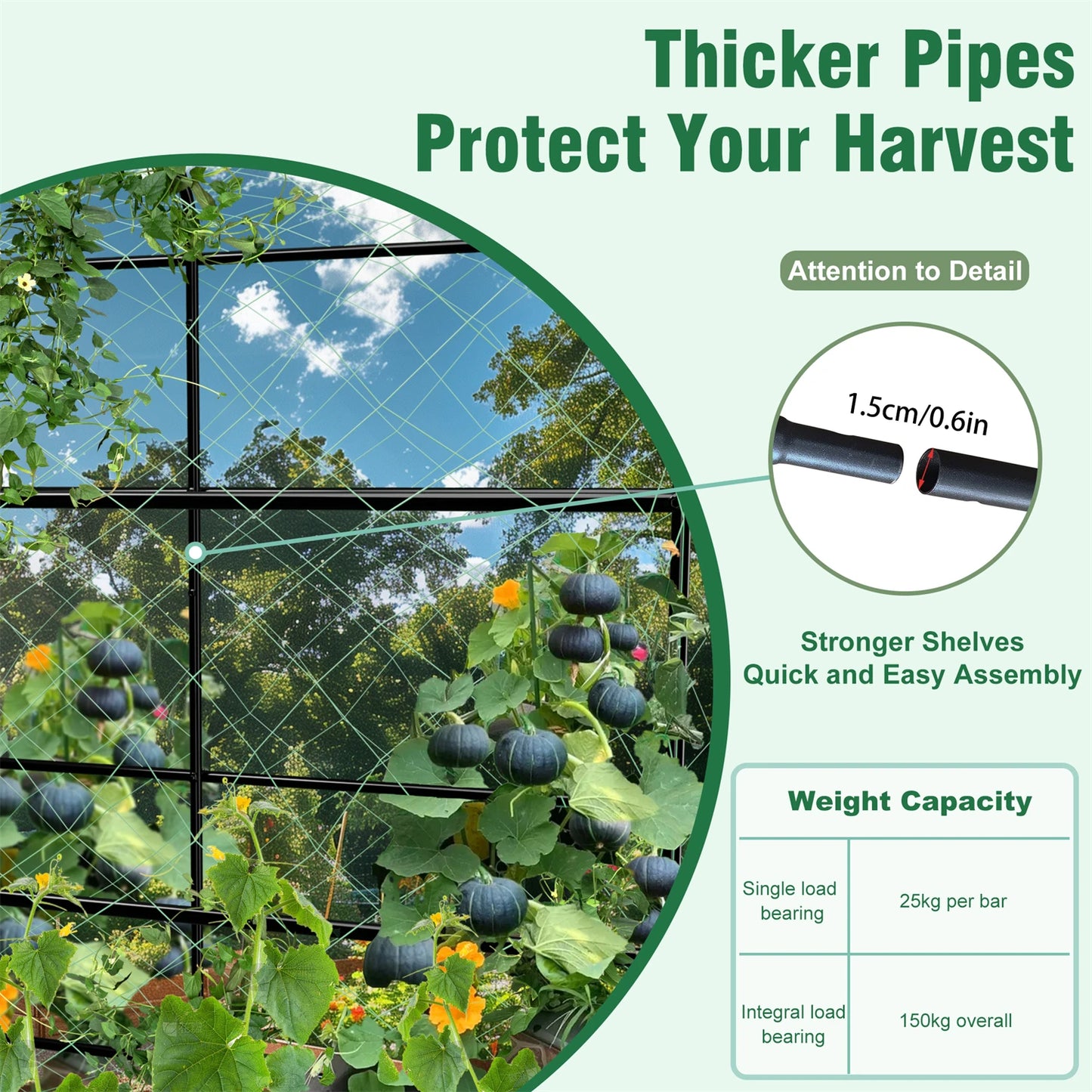 U Shaped Garden Cucumber Trellis With Nylon Netting And Spikes