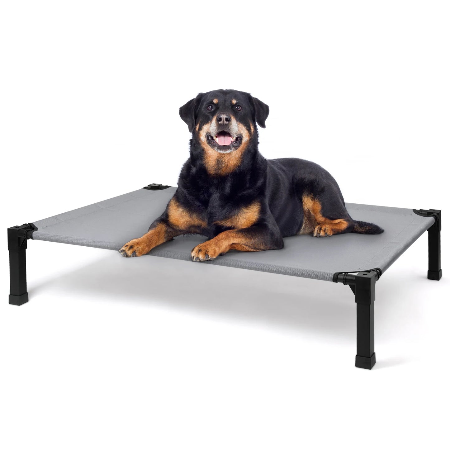 Elevated Dog Bed With Breathable Mesh And Metal Frame