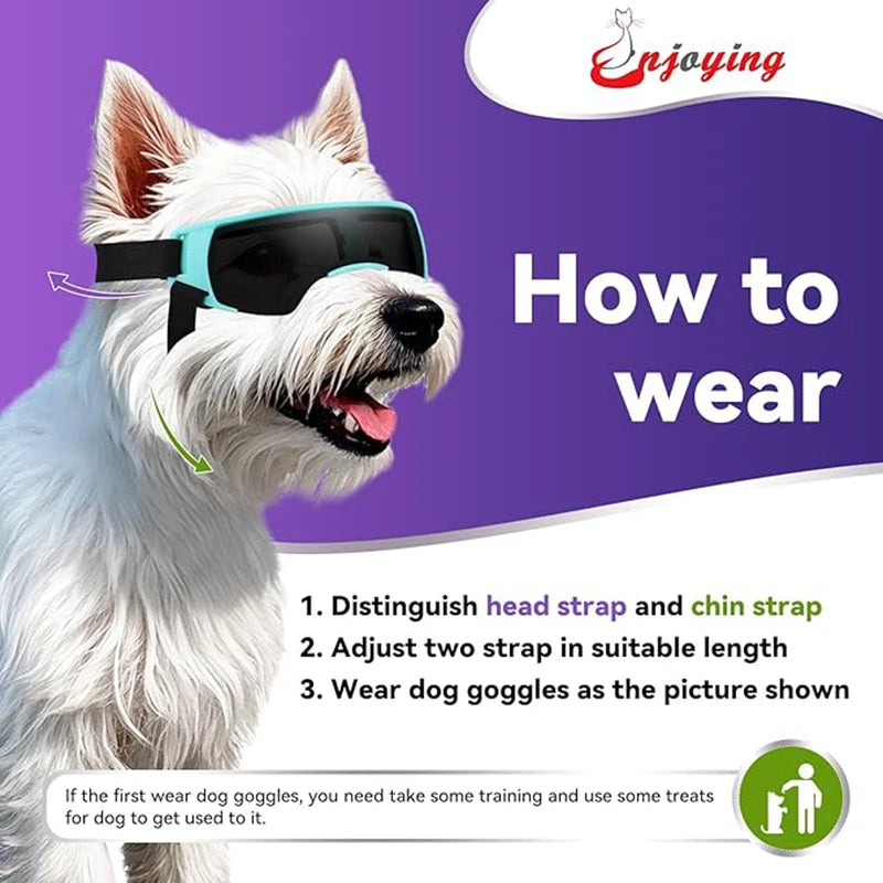 Dog Sunglasses for Small Breeds Windproof Anti UV Eye Protection