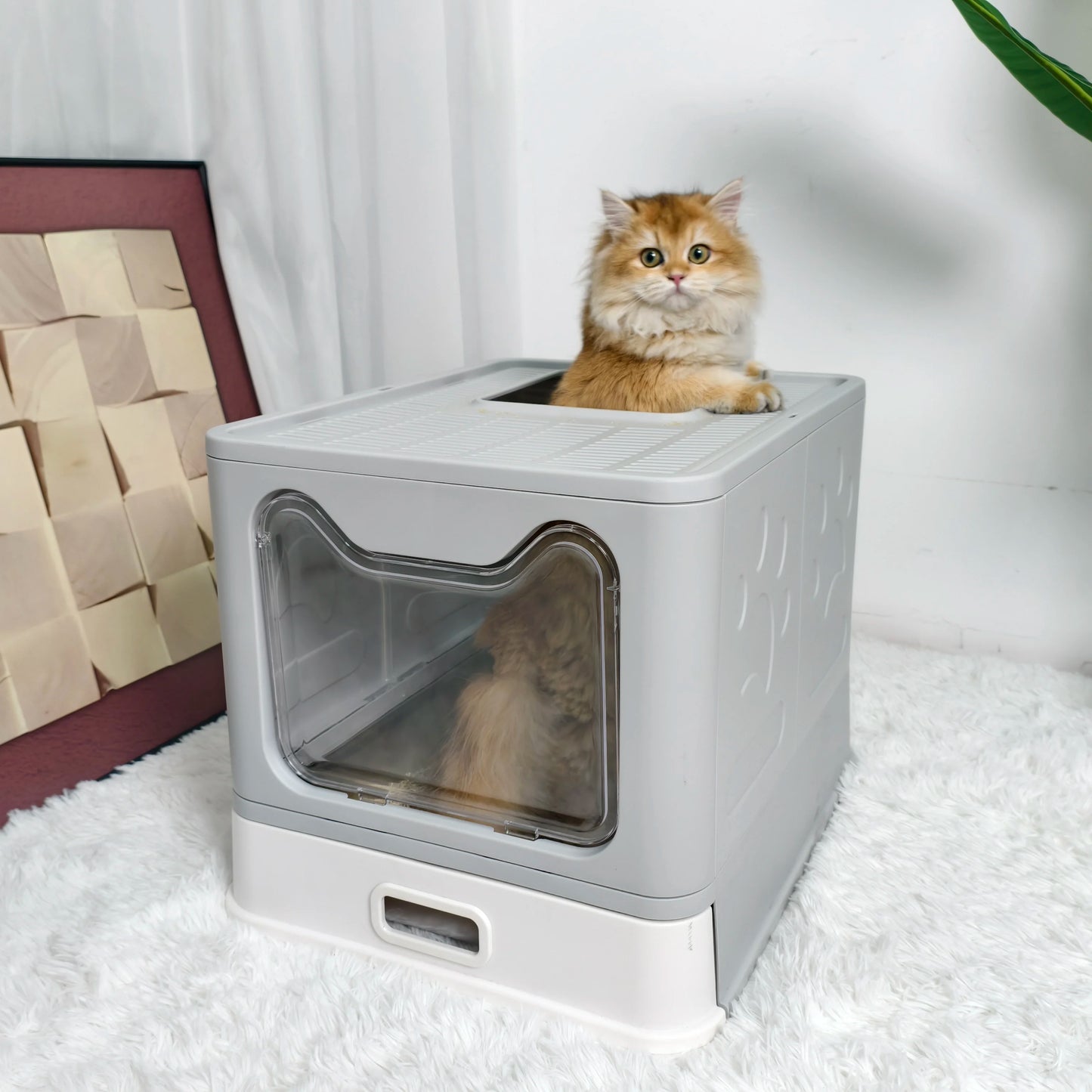Plastic Cat Litter Box Front Entry Top Exit With Lid
