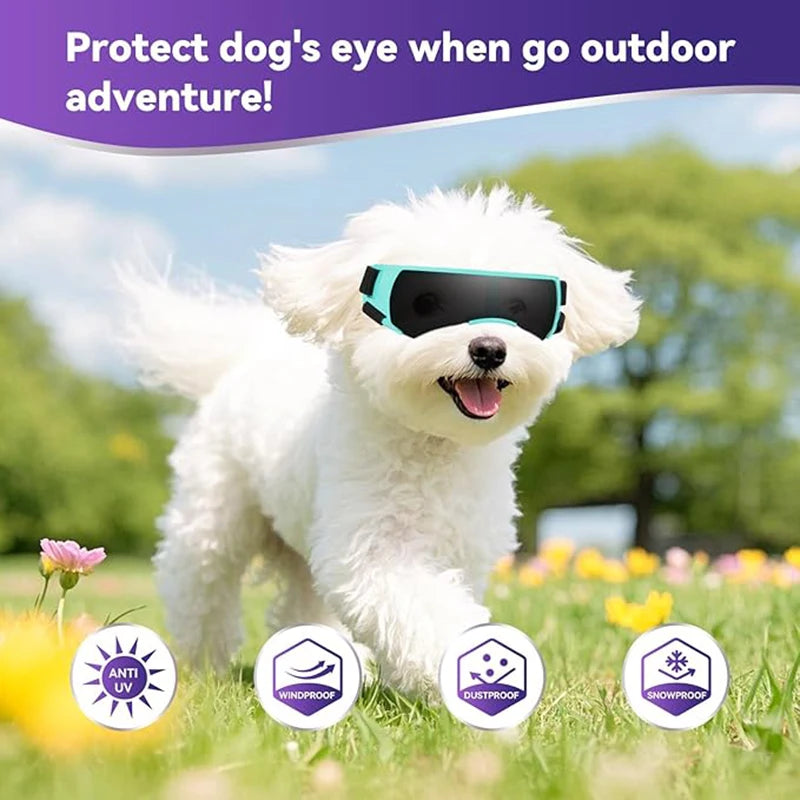 Dog Sunglasses for Small Breeds Windproof Anti UV Eye Protection