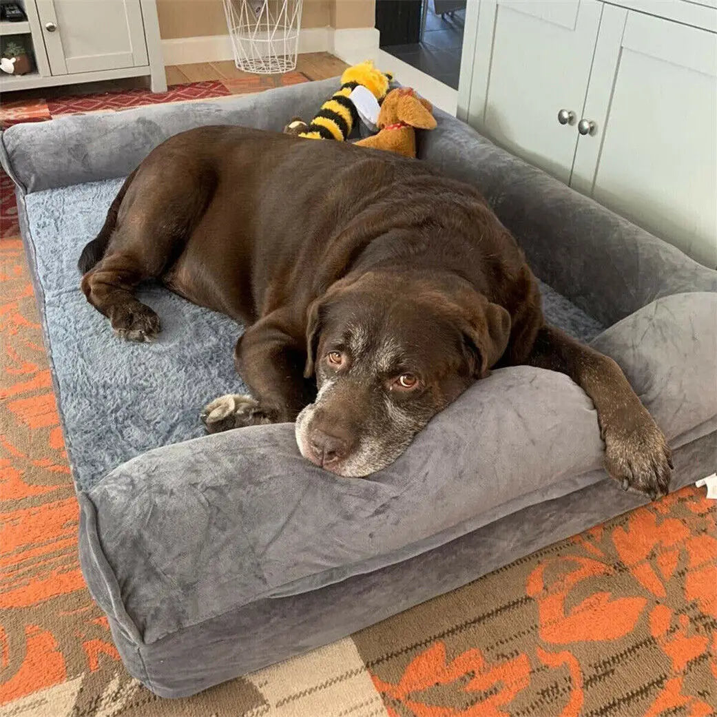 BINGOPAW Orthopedic Dog Bed With Removable Washable Cover Soft Foam