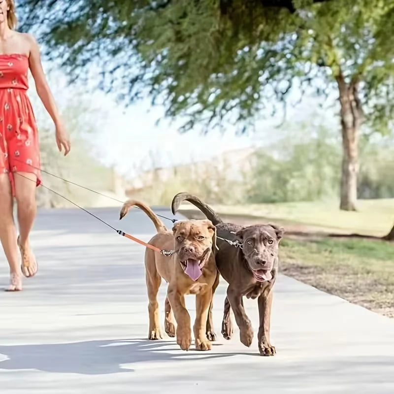 Dual-Head Self-Retracting Dog Leash With 360 Rotating Lead