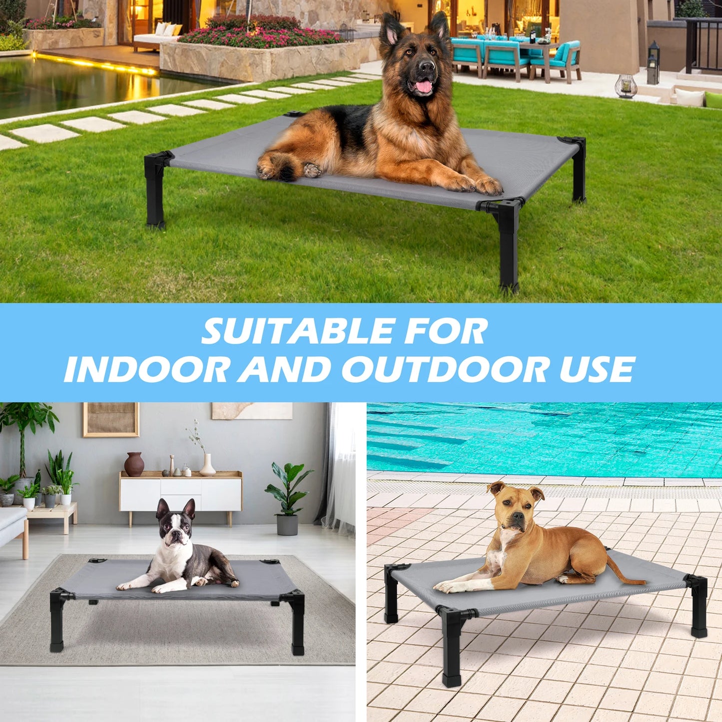 Elevated Dog Bed With Breathable Mesh And Metal Frame