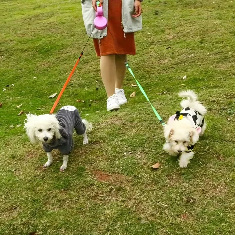 Dual-Head Self-Retracting Dog Leash With 360 Rotating Lead