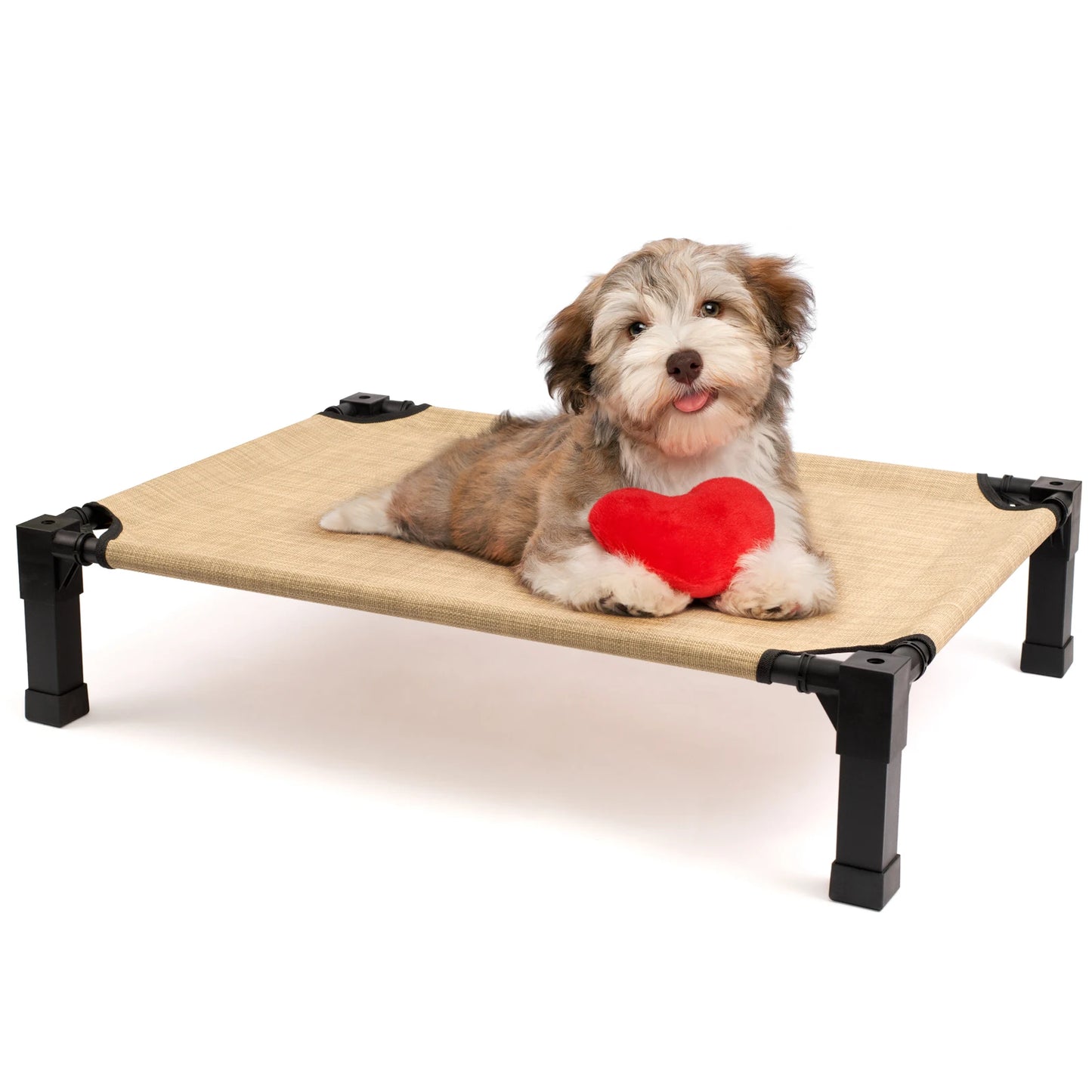 Elevated Dog Bed With Breathable Mesh And Metal Frame