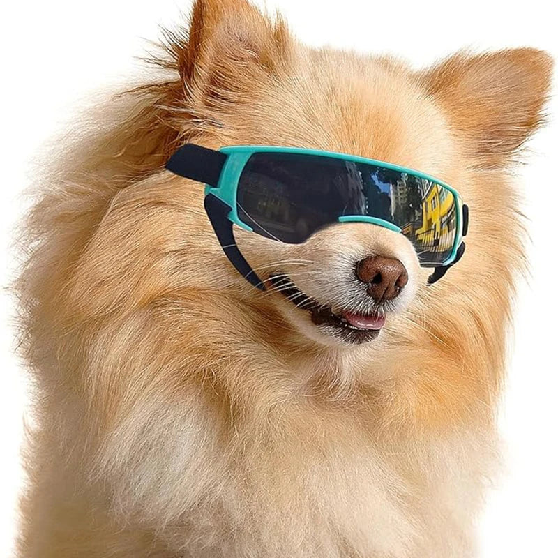 Dog Sunglasses for Small Breeds Windproof Anti UV Eye Protection
