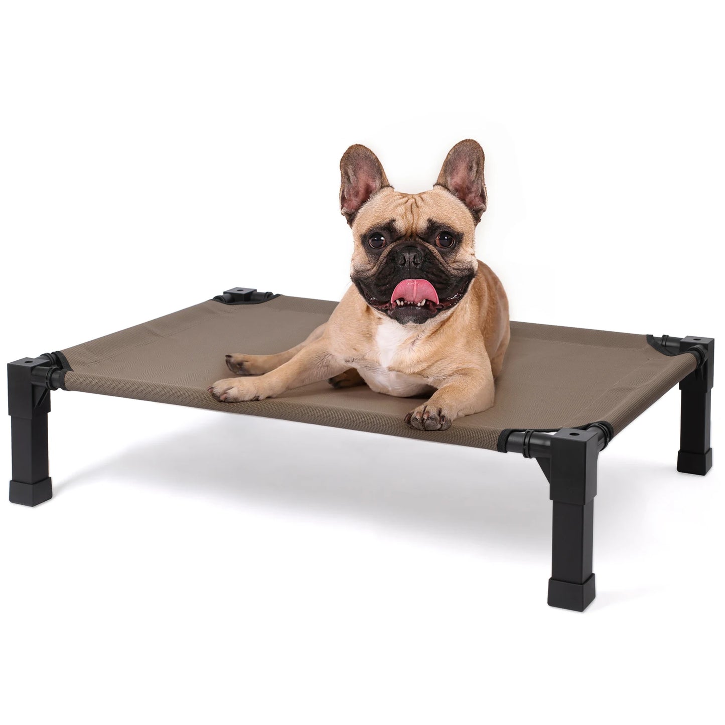 Elevated Dog Bed With Breathable Mesh And Metal Frame