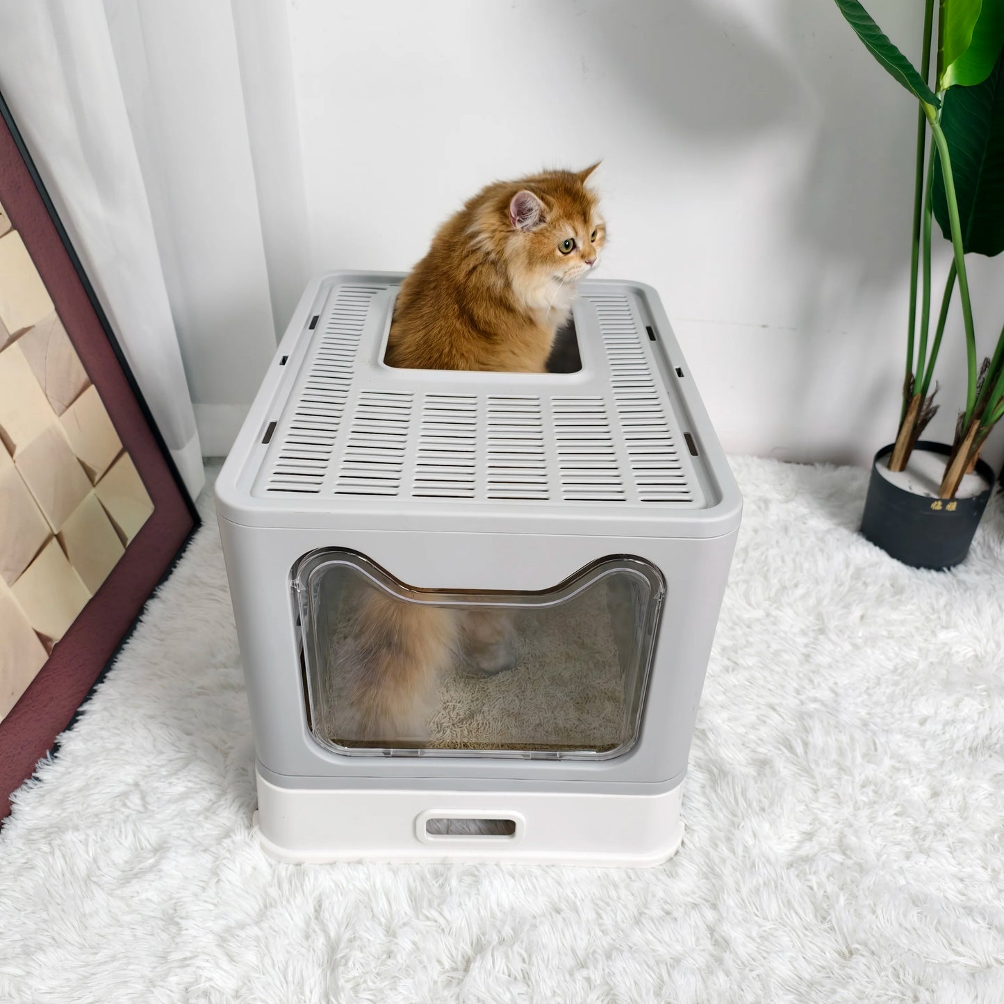 Plastic Cat Litter Box Front Entry Top Exit With Lid