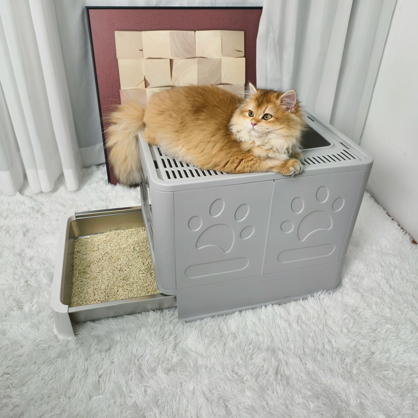 Plastic Cat Litter Box Front Entry Top Exit With Lid