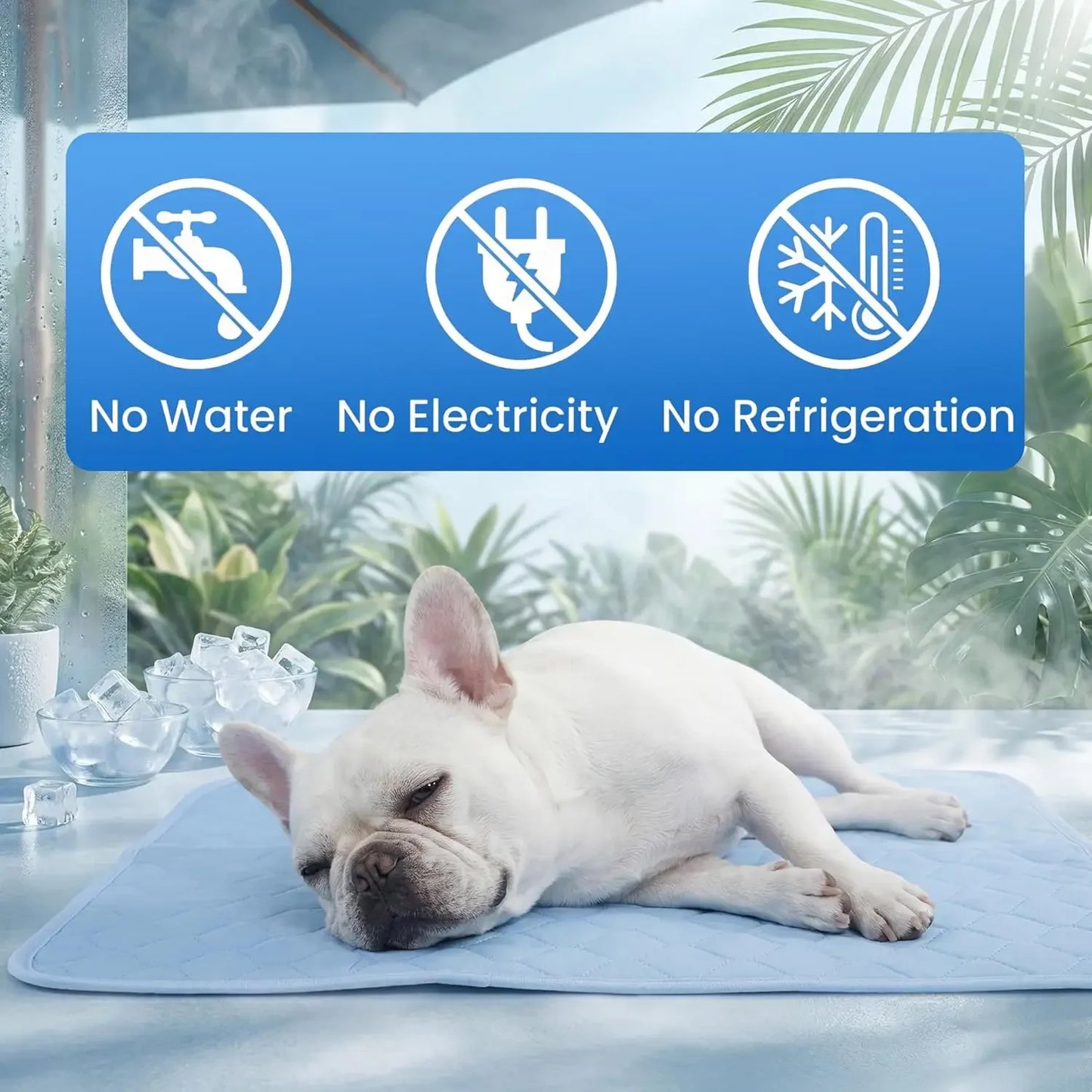 Dog Cooling Mat No Gel Pad for Small Dogs and Cats