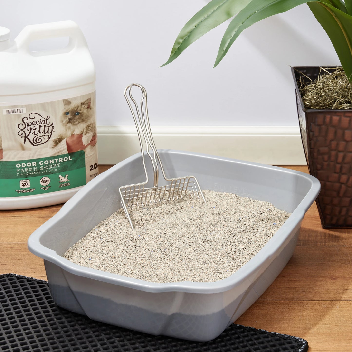 4 Pack Clumping Clay Cat Litter With Fresh Scent Odor